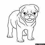 Pug Coloring Pages Puppy Cute Dogs Pugs Dog Baby Printable Puppies Thecolor Line Clipart Colouring Color Outline Sheets Bulldog Print sketch template