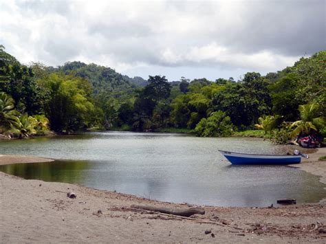 grande riviere beach destination trinidad  tobago tours holidays vacations  travel guide