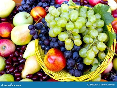 fresh organic fruits stock images image