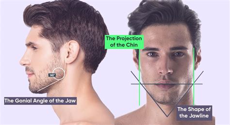 gonial angle jawline types  classification mewingcoach