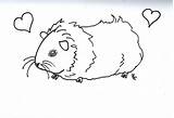 Meerschweinchen Guinea Pigs Malen Malvorlagen Realistic Kostenlose Coloringtop Hellokids Colorings sketch template
