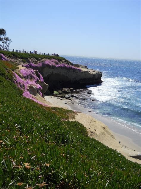 la jolla  cove favorite places outdoor la jolla