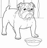 Bulldog Coloring French Pages Jack Printable Sheets Puppy Bulldogs Drawing Dog Colouring Color Bull Russell English Line Print Dogs Super sketch template
