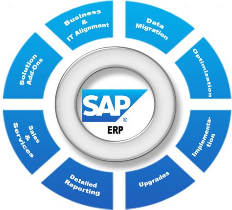 sap definition  meaning goodworklabs