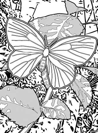 quiver coloring pages thekidsworksheet