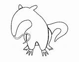 Anteater Breeding Coloring Coloringcrew sketch template