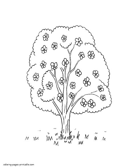 spring nature coloring page blossom tree coloring pages printablecom