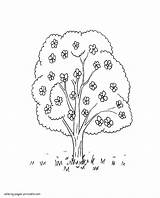 Coloring Spring Pages Tree Blossom Nature Printable Colouring Seasons sketch template