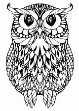 Owl Coloring Pages Drawing Mandala Printable Owls Animal Sheets Detailed Print Hard Mandalas Kids Animals sketch template