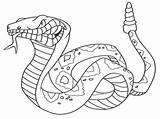 Snake Coloring Pages Printable Wonderful Wuming Birijus sketch template
