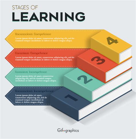 stages  learning psd template infographic template gifographicsco