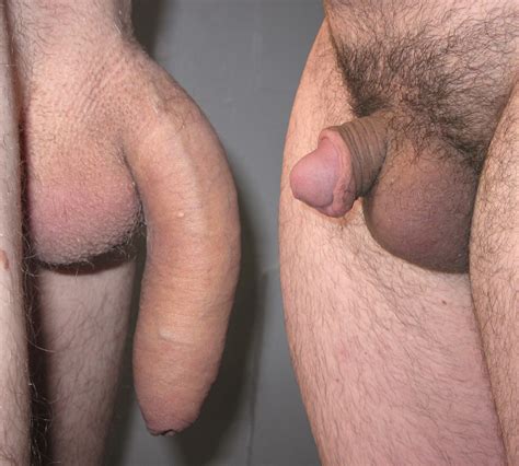 small erect penis comparison image 4 fap