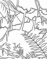 Jungle Rainforest Coloring Pages Drawing Easy Rain Trees Forest Draw Drawings Animals Printable Color Kids Tropical Preschoolers Themed Sheets Getcolorings sketch template