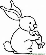 Rabbit Coloring Carrot Eating Bunny Drawing Pages Carrots Sheet Treehut Getdrawings Paintingvalley Explore sketch template