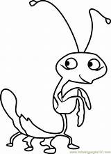 Mantis Skunk Coloringpages101 sketch template