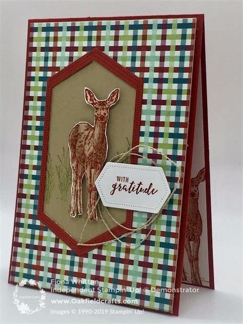 natures beauty nature beauty simple cards stampin