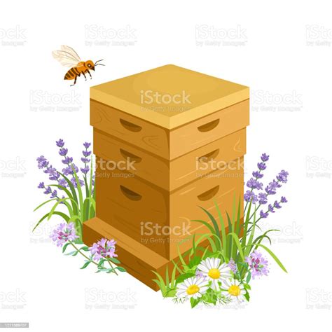 Wooden Beehive And Flying Bee In Flowering Meadow Vector Illustration