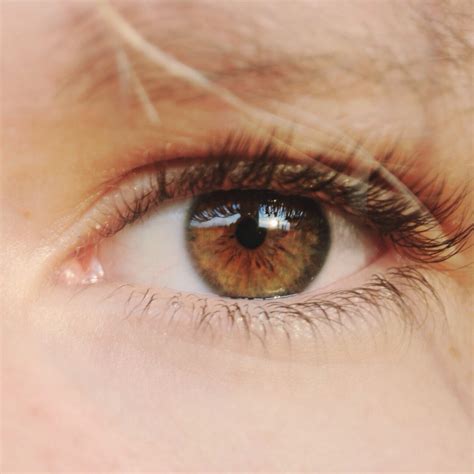 brown eyed girl sarah buckley flickr