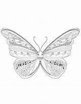 Papillon Coloriage sketch template
