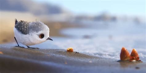 pixar s stunning short film piper is streaming online for free