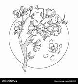 Blossom Cherry Cerisier Blossoms Mandala Vecteur sketch template