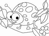 Ladybug Coloring Pages Bug Printable Colouring Ladybird Drawing Girl Lady Color Kids Lightning Print Toddlers Cute Getcolorings Getdrawings Animal Animals sketch template