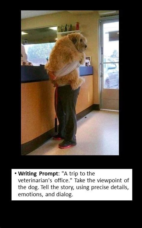 funny writing prompt pictures