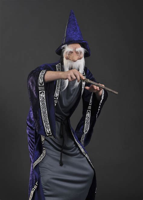 Adult Dumbledore Style Wizard Costume Adult Dumbledore Style Wizard Costume
