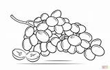 Grapes Coloring Drawing Bunch Grape Raisins Pages Printable Clipart Line Drawings Some Color sketch template