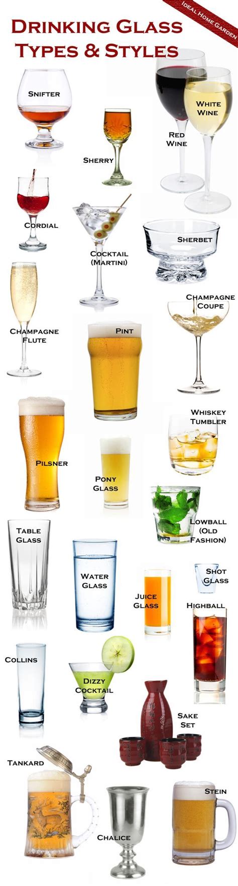 The Different Types Of Drinking Glasses And Explanations Of What They