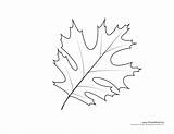 Leaf Templates Template Oak Coloring Printables Kids Pages Printable Drawing Leave Van Getdrawings sketch template