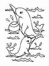 Coloriage Dauphins Dauphin Dolphins Delfini Tiere Colorier Stampare Coloriages Imprimer Dessin  Playing Jolis sketch template