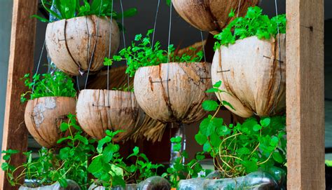 huertas caseras  consejos  llevar la permacultura  tu hogar kibo