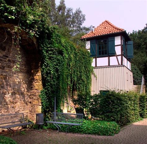 ausbau des kellers zur wohnung das ist zu beachten welt