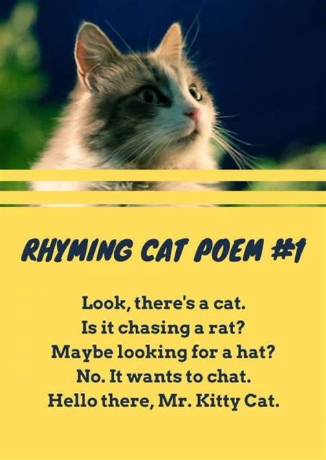más de 16 poemas de gato para que los niños lean imagine imagine
