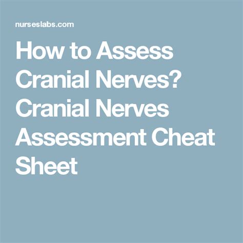 cranial nerves assessment cheat sheet free download cranial nerves