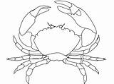 Crabs Caranguejo Krab Krabbe Kleurplaat Crustacean Krebse Granchietto Krebstiere Kleurplaten Disegno Granchi Lobster sketch template
