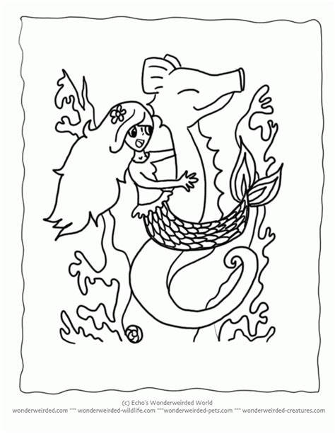ocean coloring pages books    printable