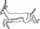 Kudu Antelope Getdrawings Leaping sketch template