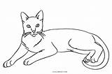 Coloring Grumpy Pages Cat Getdrawings sketch template