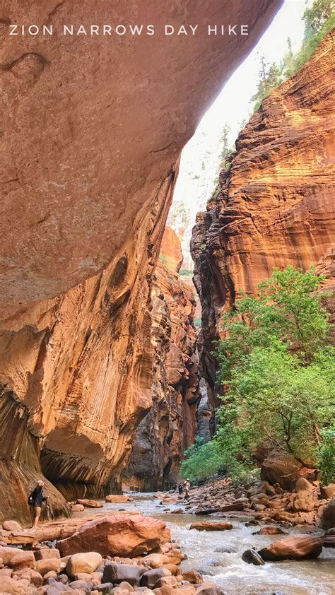plan  zion narrows day hike  city adventures national parks