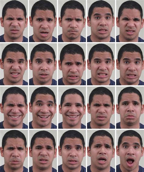 feeling disgustedly surprised scientists identify  facial