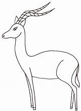Impala Coloring Pages Animal Drawing Animals Antelope Color Printable Colouring Drawings Print Simple Animaux Designlooter Sauvages Getdrawings Sheet African Badge sketch template