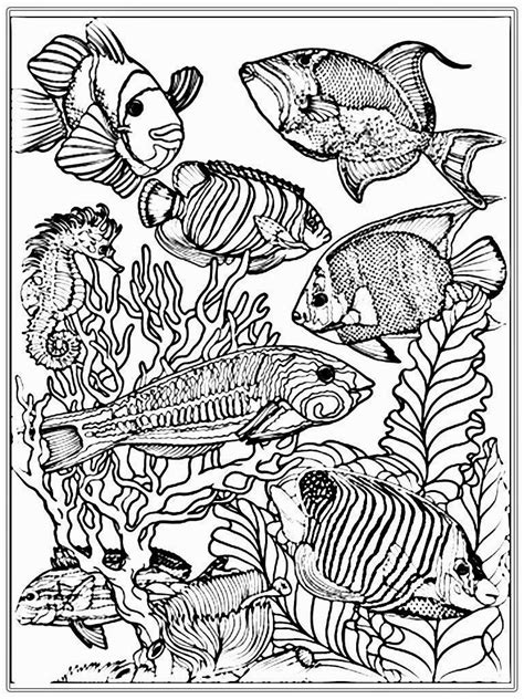 coloring pages fish ocean