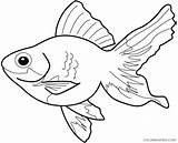 Fish Tropical Coloring Pages Coloring4free Printable Related Posts sketch template