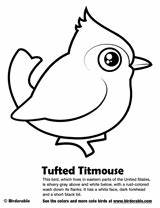 Titmouse Designlooter Tufted Birdorable sketch template