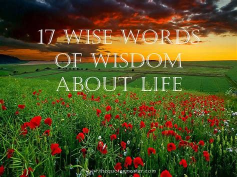 wise words  wisdom  life