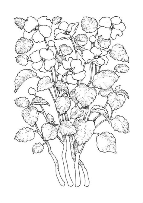 flower coloring pages   ai
