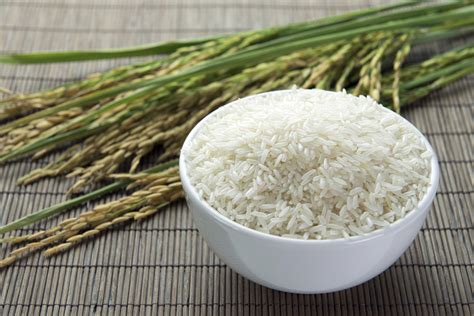 aposte  arroz saiba os principais beneficios  grao  pode ser