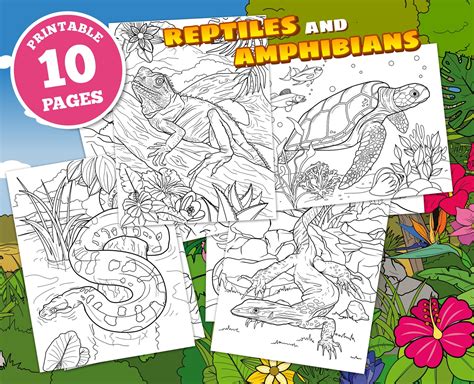 reptiles  amphibians digital coloring pages  kids lizards